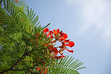 Xbox发布会：《猩红陷落》5分钟实机演示